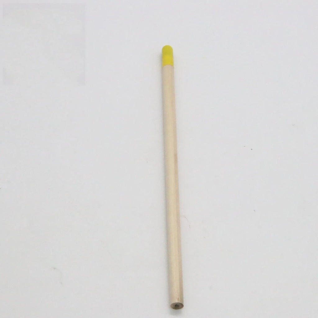HB Seed Pencil with coloured degradable capsule containing plantable seeds on a soil background.