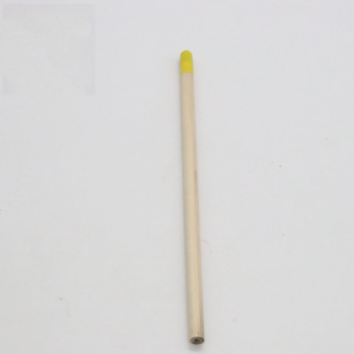 HB Seed Pencil with coloured degradable capsule containing plantable seeds on a soil background.
