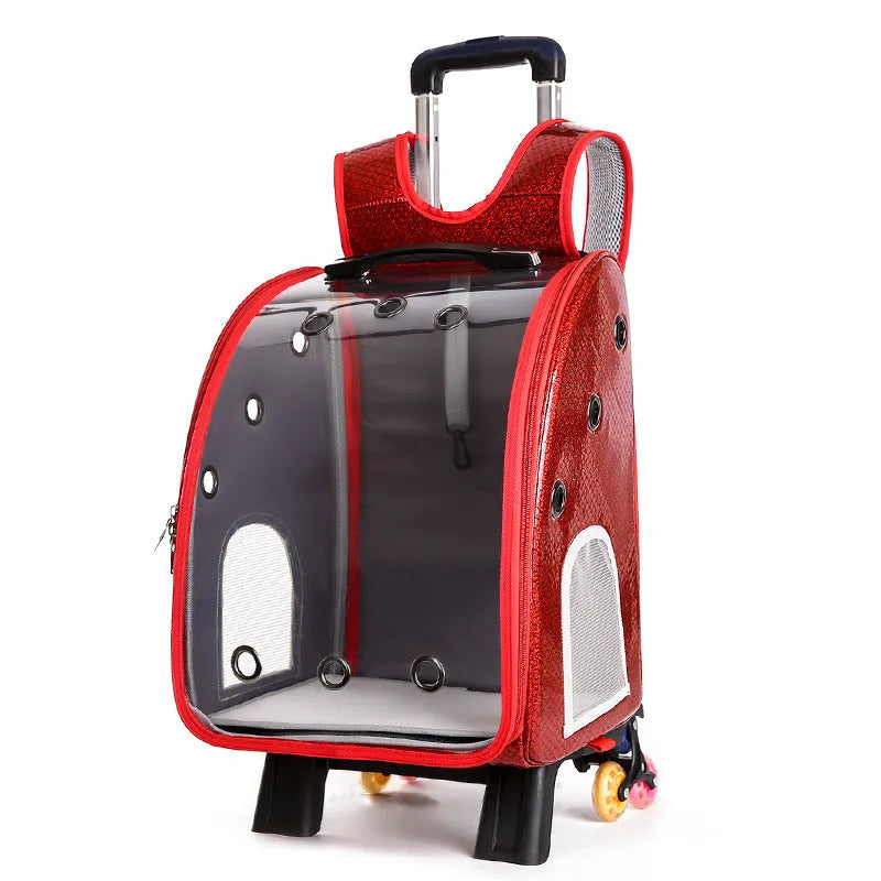 Folding pet carrier bag with transparent acrylic cover and Oxford cloth backpack in blue colour