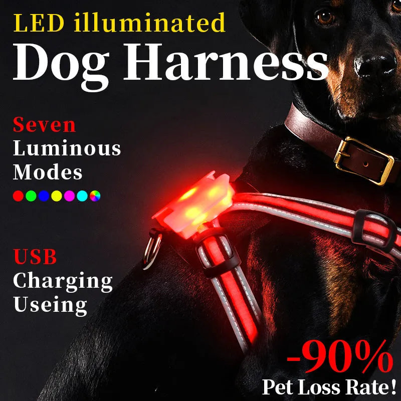 Nylon luminous dog lead with seven-colour LED lights and hand-holding rope design