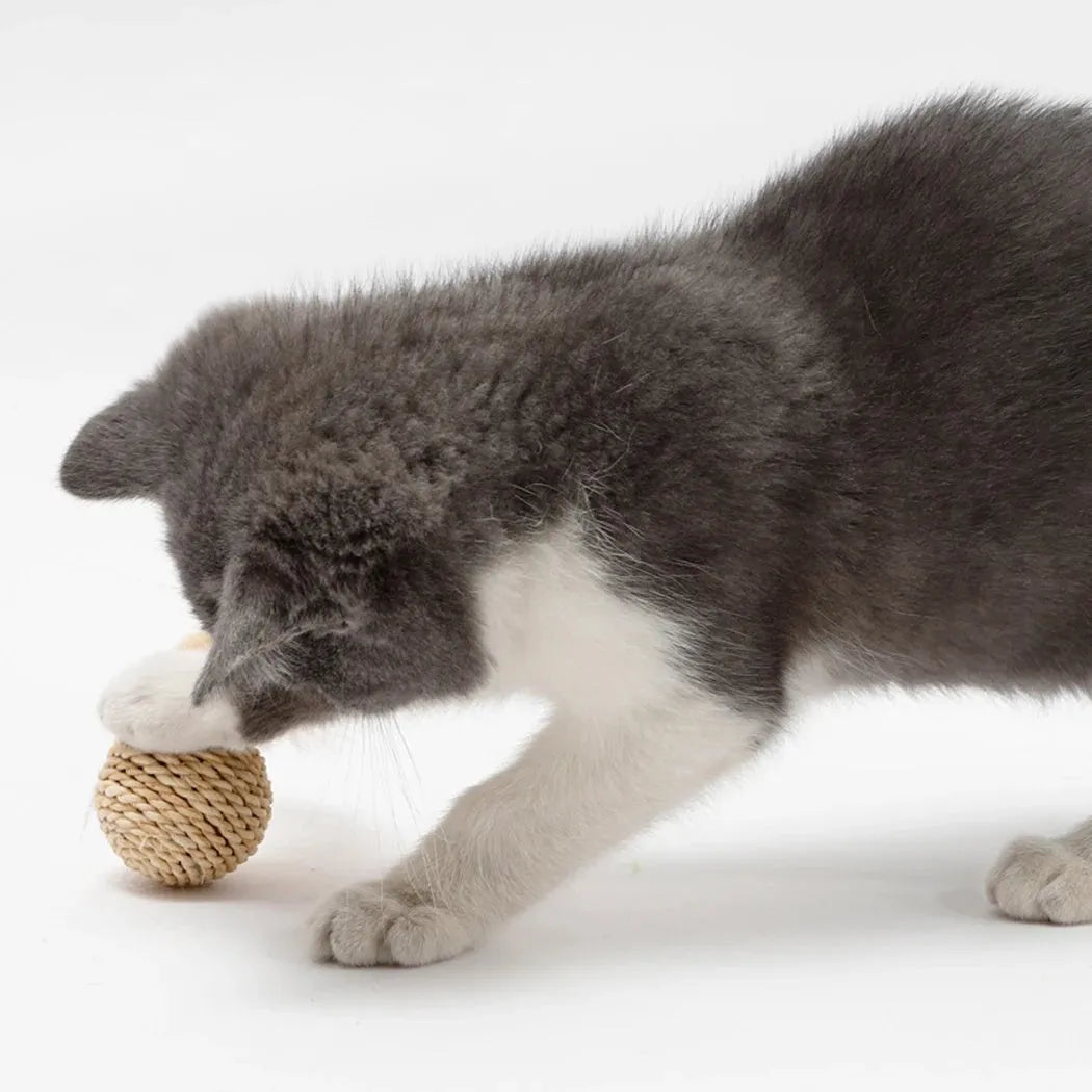 Two cat toys: rattan ball and faux feather bell ball for interactive play