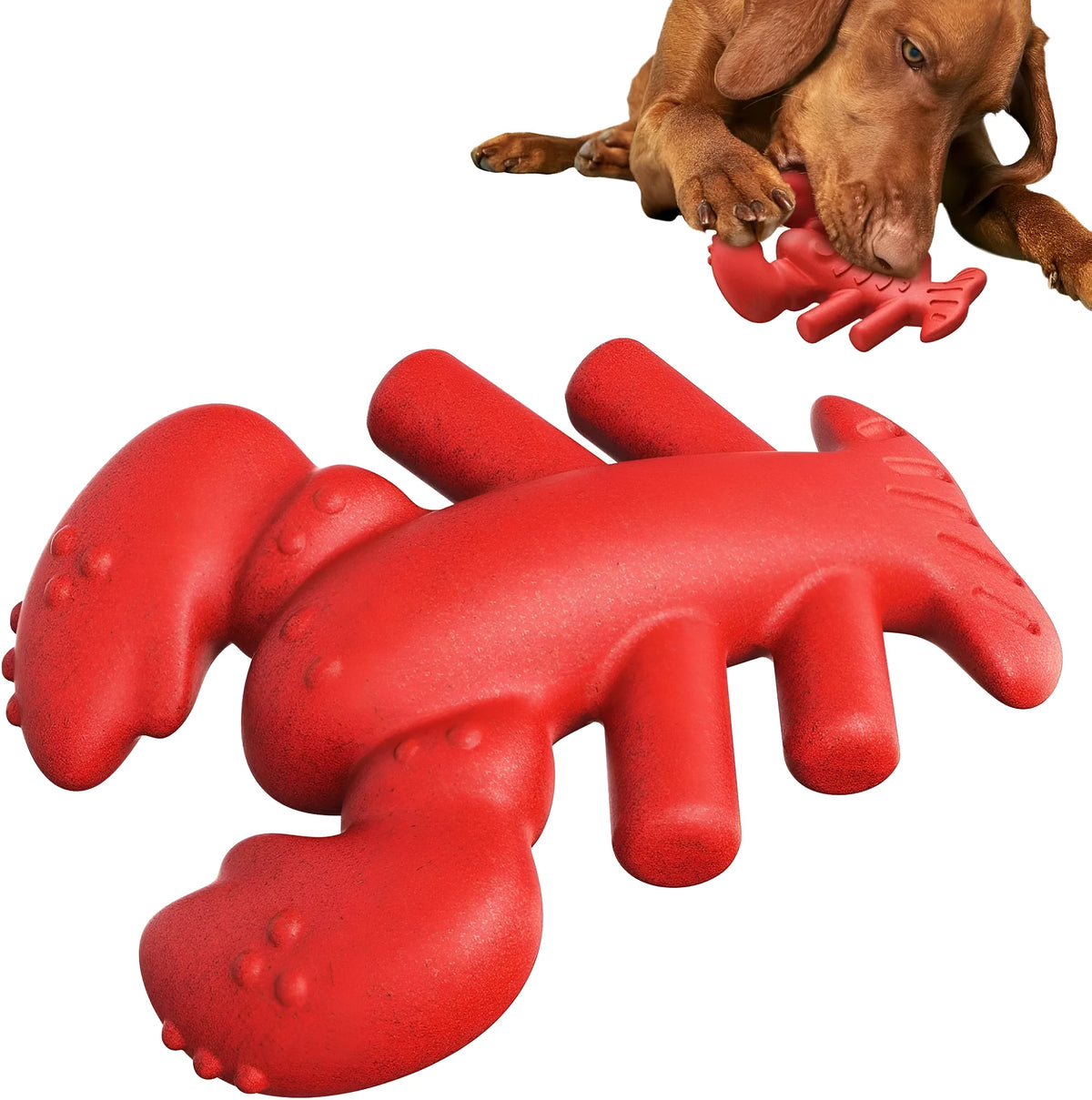 Red hard dog chew toy for large aggressive chewers on a plain background