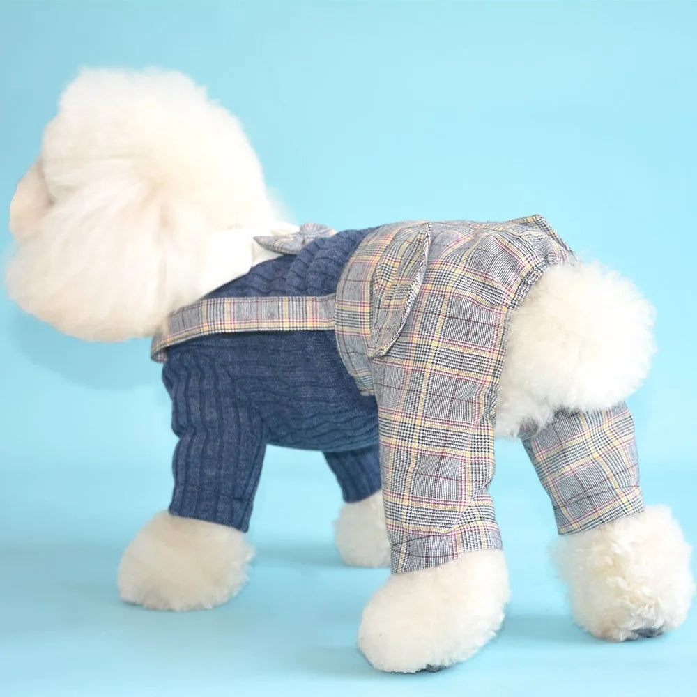 Small dog wearing dark blue cotton shirt with button front and collar