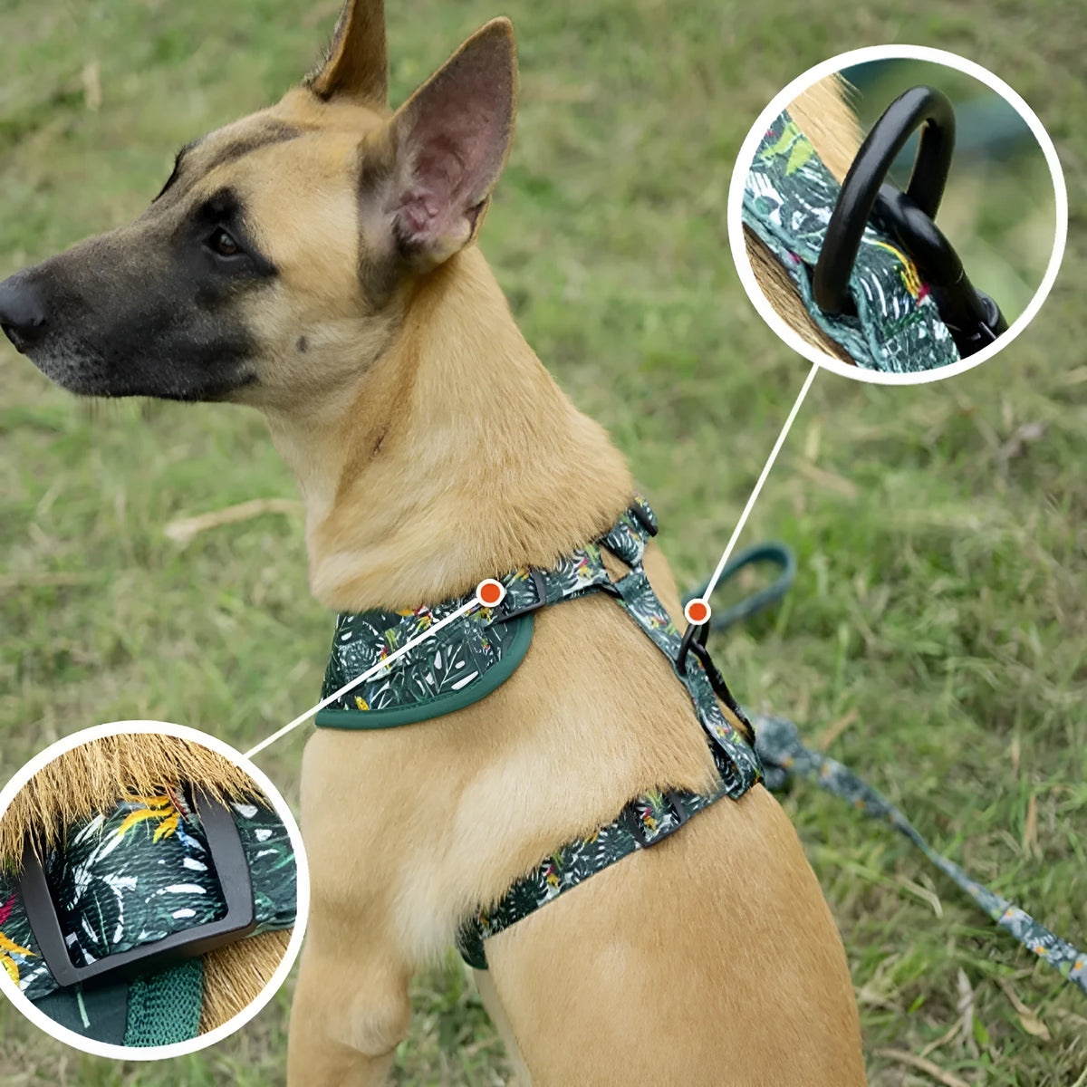 Adjustable cloth dog harness vest set with haulage rope, collar, waste bag, bow tie and triangle scarf accessories