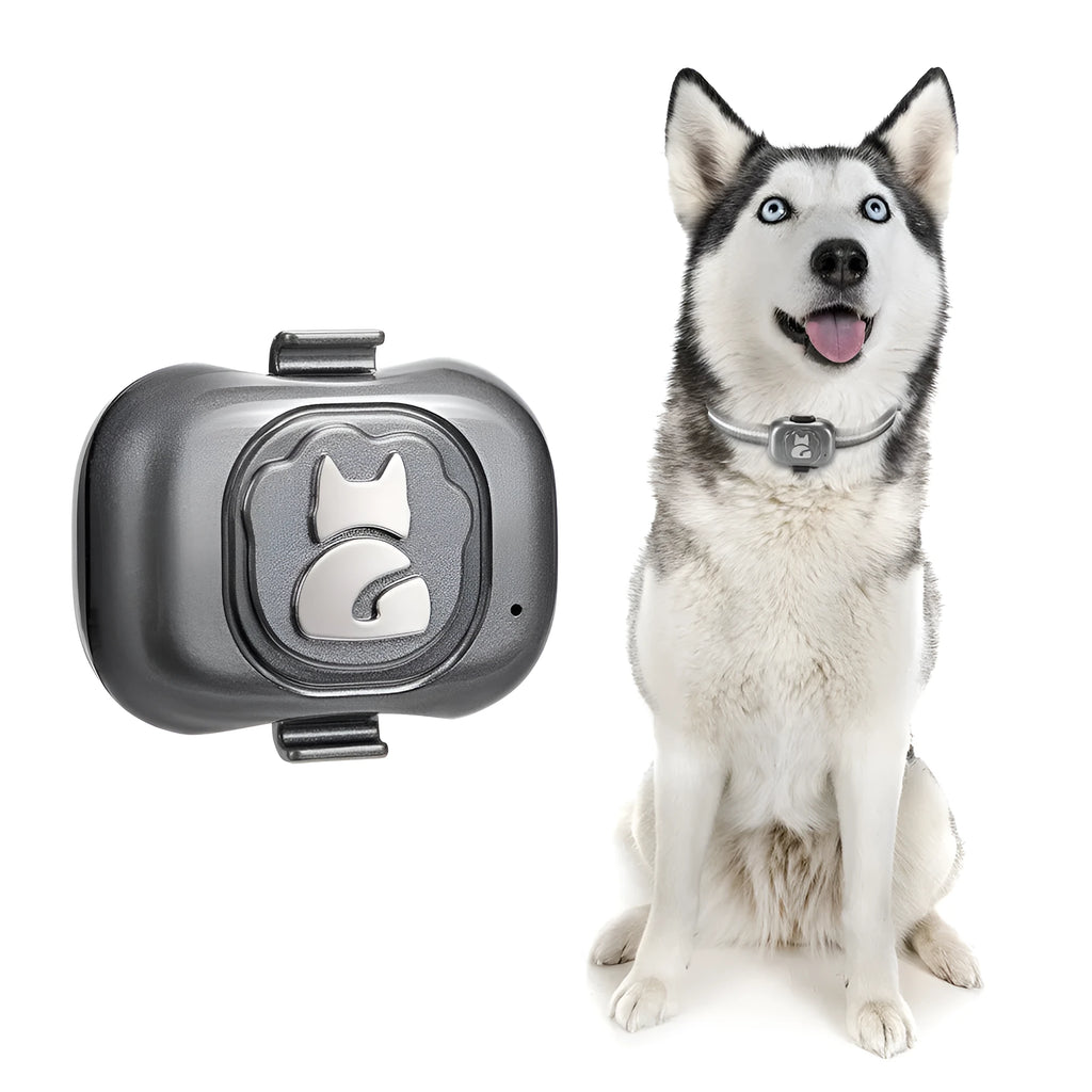 Black pet GPS tracker locator device with hanging rope attachment for dogs and cats