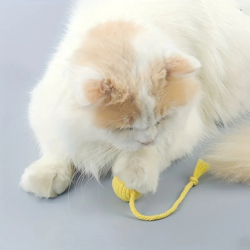 Colourful cat toy ball with rope and internal bell in small and medium sizes.