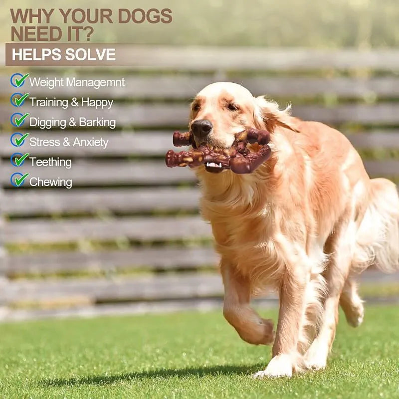 Scarlet-coloured nylon dog chew toy with beef flavour for molar nibbling.