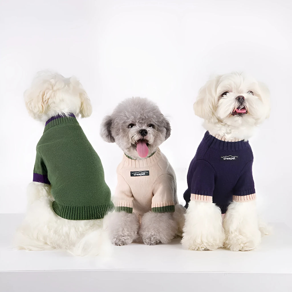 Wool blend pet sweater with two-leg design in Crown Blue colour on dog