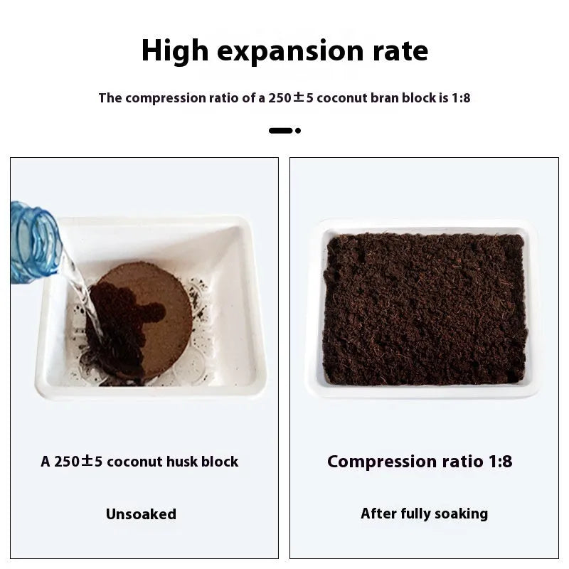 Selection of nutrient soil medium blocks in different sizes for vegetable seedling cultivation