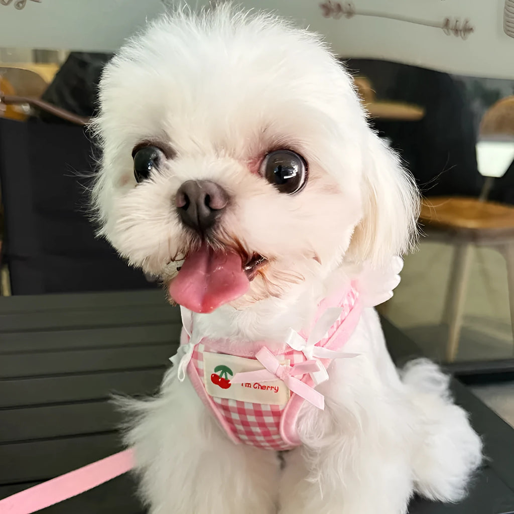 Pink cotton chest and back harness with lead for a small dog on a white background.
