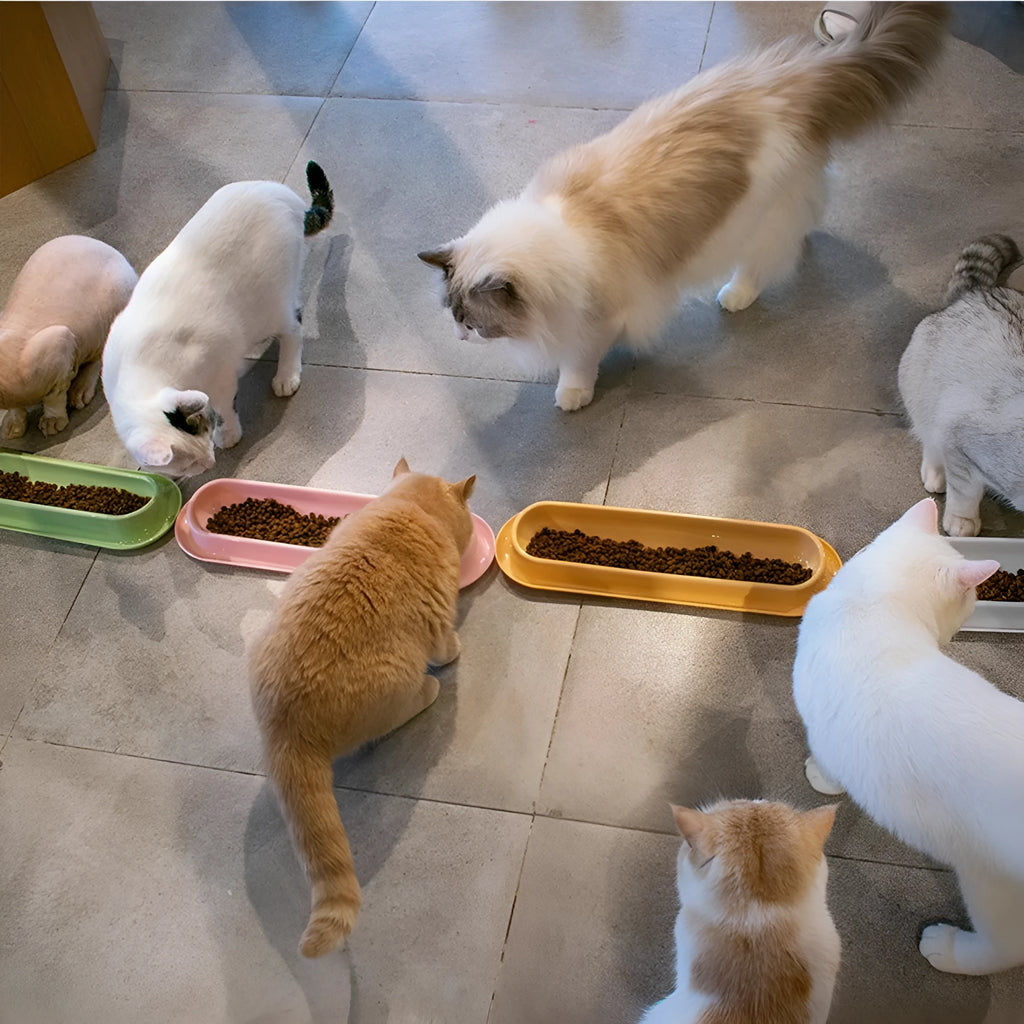 Green plastic pet feeder with separate food and water bowls for multiple small dogs or cats.
