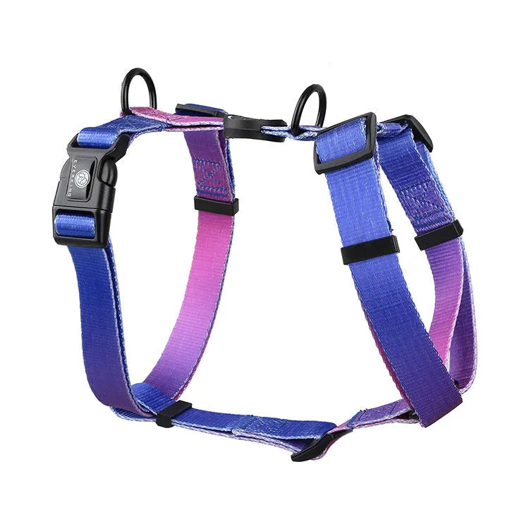 Gradient colour pet harness with chest and back straps in four colour themes