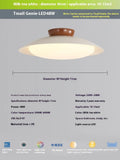Modern cream style flying saucer ceiling lamp in mint green colour showing iron construction
