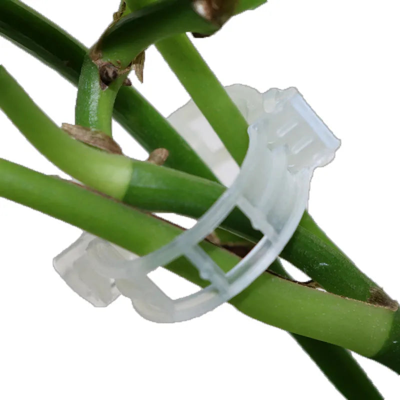 50 plastic plant grafting clips in assorted colours for tomato and garden plant support