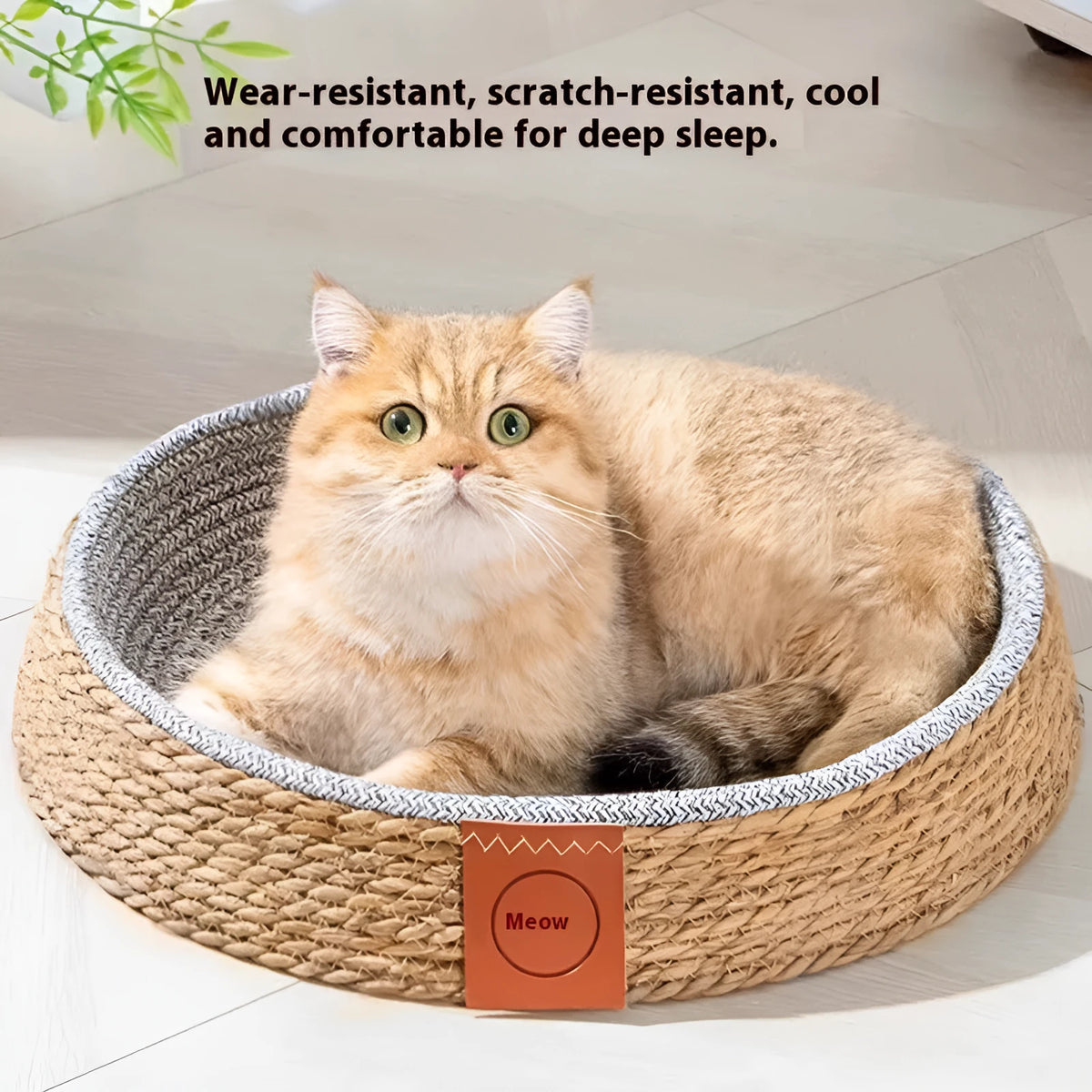 Rattan woven cat nest or bed for pets, shown in available sizes S, M, L, and XL.