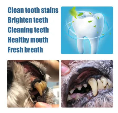 Pet teeth whitening pen with two dental brushes for dog and cat tartar control