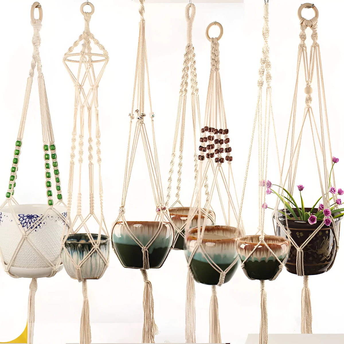 Woven cotton rope plant hanger in wall hanging configuration with green plants