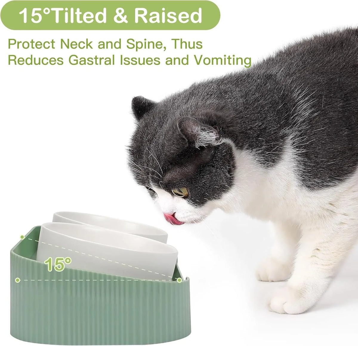 Ceramic elevated cat bowls with 15-degree tilt, non-slip base, and spill-proof rim in green colour