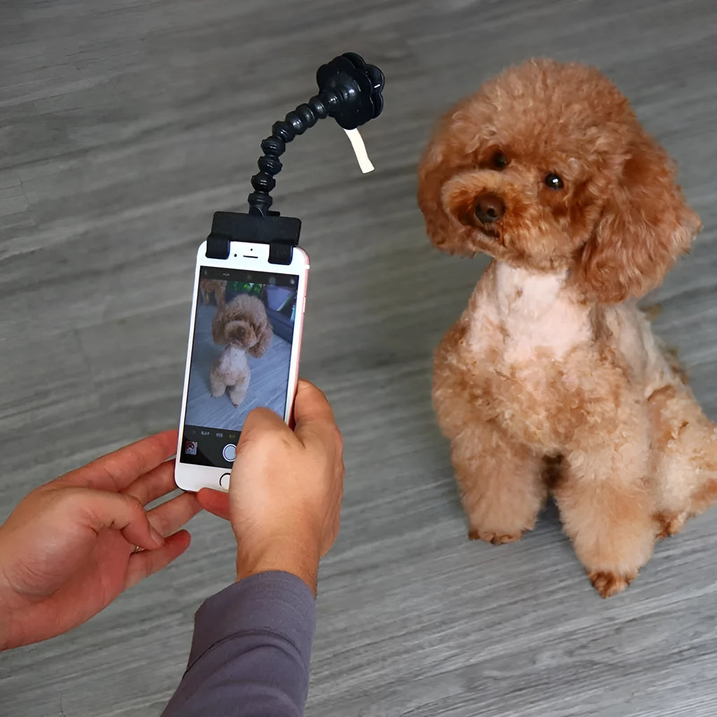 Black pet selfie stick with extended PVC pole showing square clip and flower attachment for mobile photography