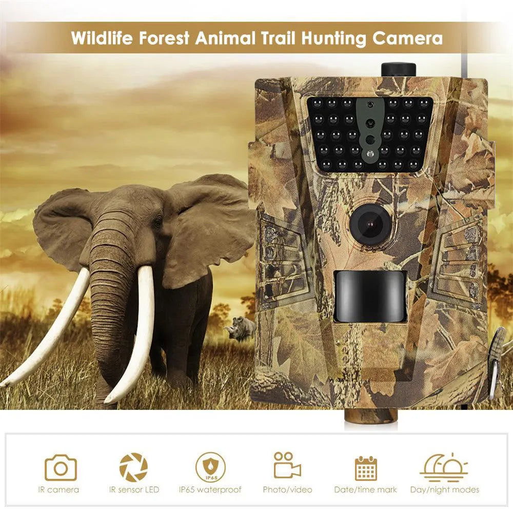 Orchard surveillance camera with motion sensor and infrared night vision for farm security