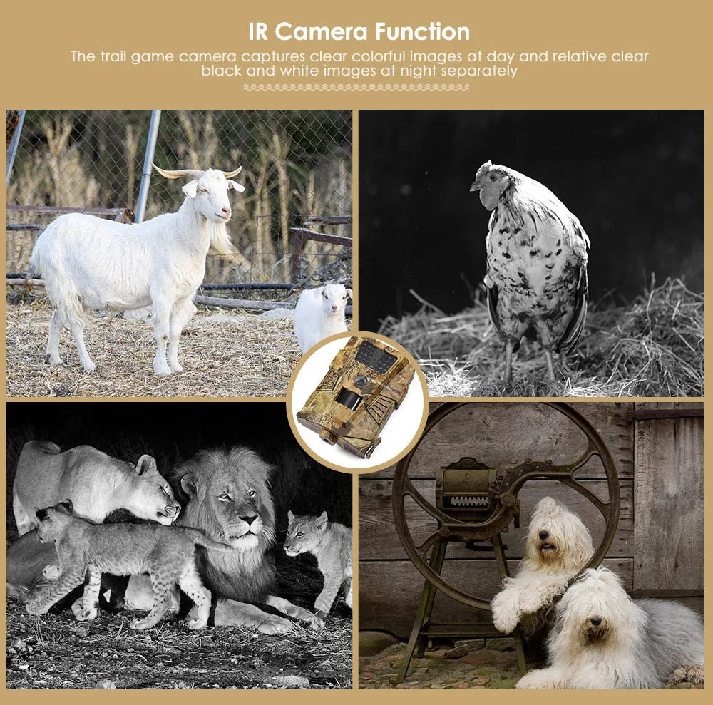 Orchard surveillance camera with motion sensor and infrared night vision for farm security