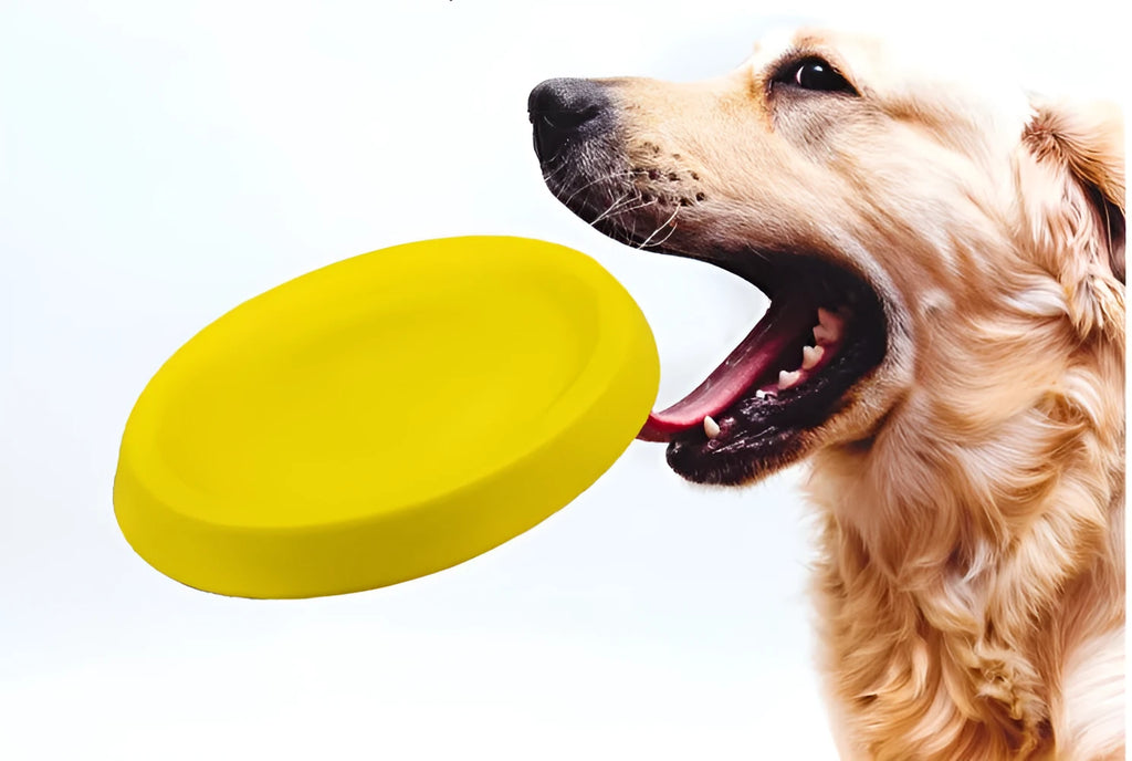 Bright yellow EVA plastic dog throwing toy weighing 70g for training and bonding games