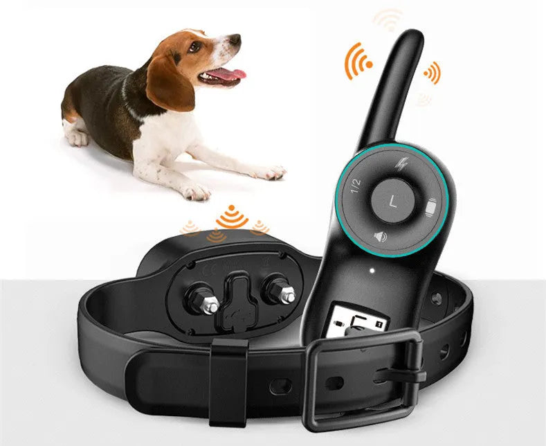 Waterproof rechargeable dog training collar with remote control available in black and orange colours