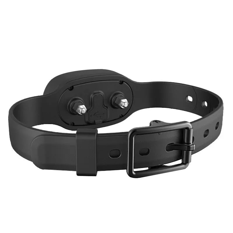 Waterproof rechargeable dog training collar with remote control available in black and orange colours