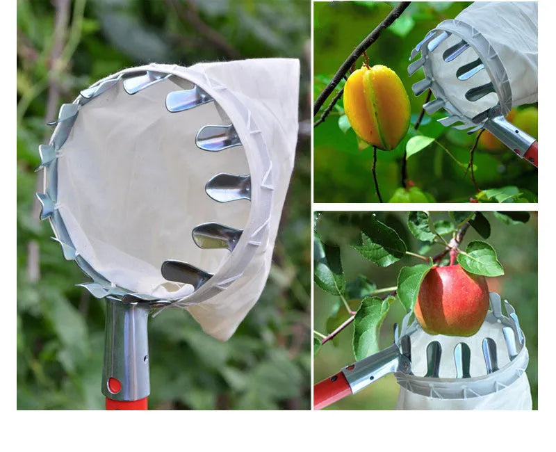 Steel frame and cloth bag fruit picker basket for harvesting garden fruit
