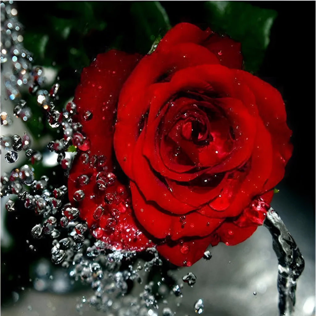 Hand-painted red rose digital oil painting on frameless 40x50cm linen canvas