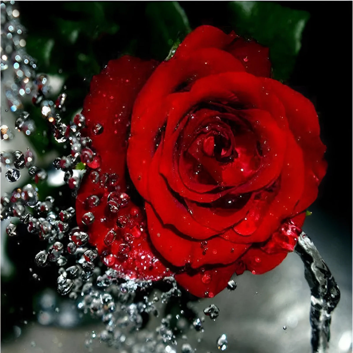Hand-painted red rose digital oil painting on frameless 40x50cm linen canvas