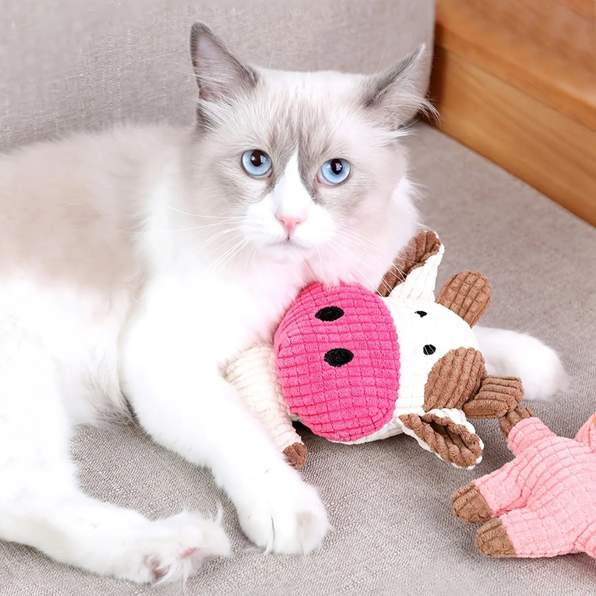 Animal shape plush squeaky dog chew toy in multiple colours for small and medium dogs