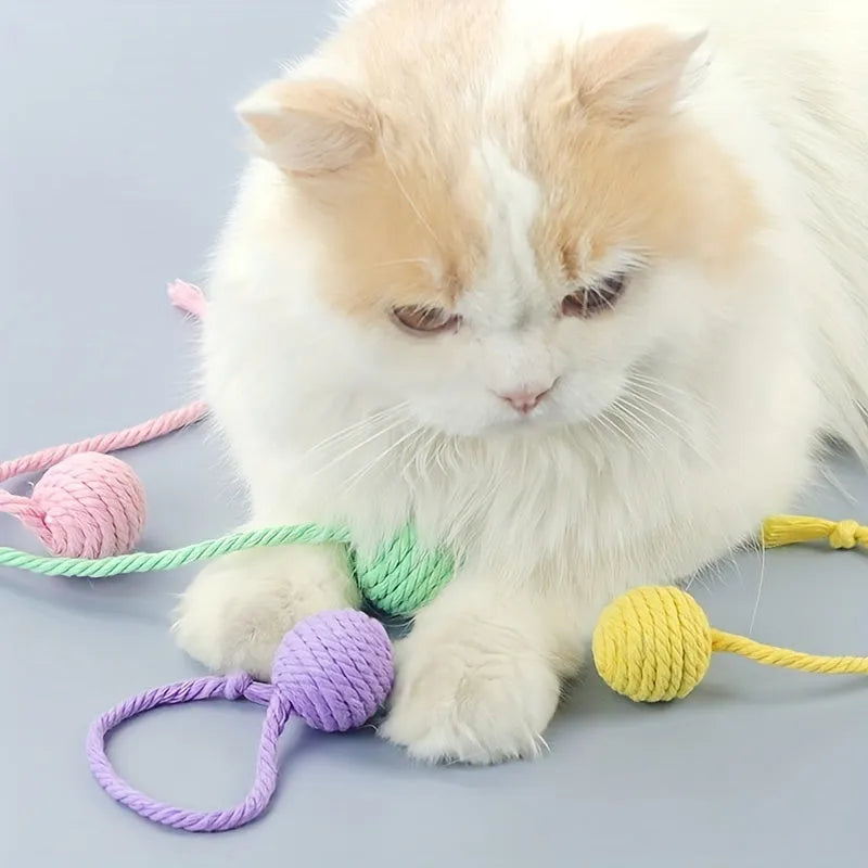 Colourful cat toy ball with rope and internal bell in small and medium sizes.