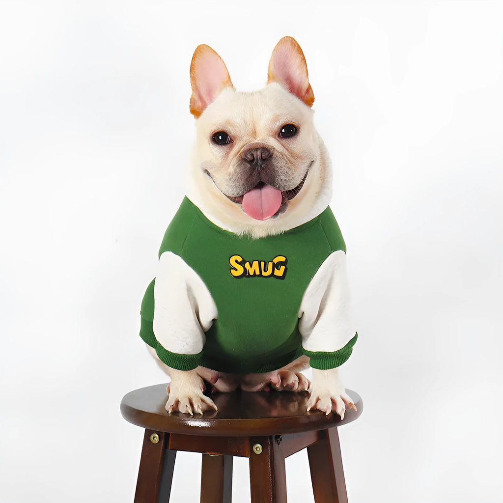 Green cotton pet clothing for dogs and cats in sizes L, XL, 2XL, 3XL, 4XL for autumn and winter wear