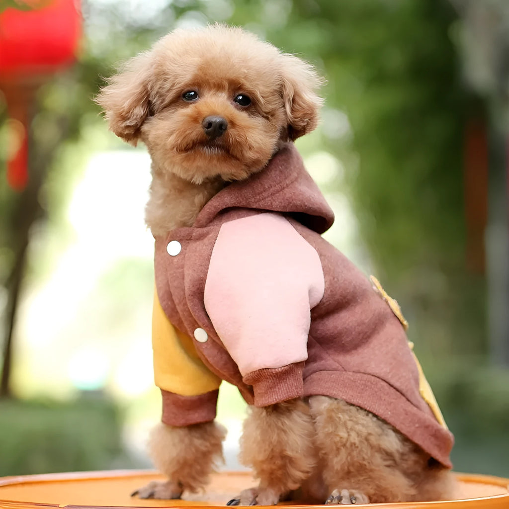 Brown cotton dog sweatshirt shown on a mannequin, with green and pink colour variants visible.