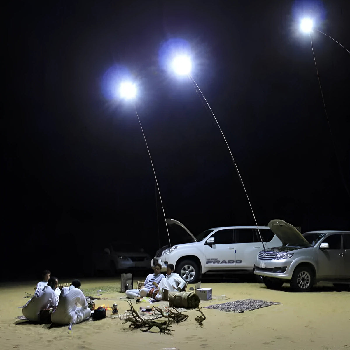 White LED fishing rod light unit with remote control for 5 metre telescopic rods.