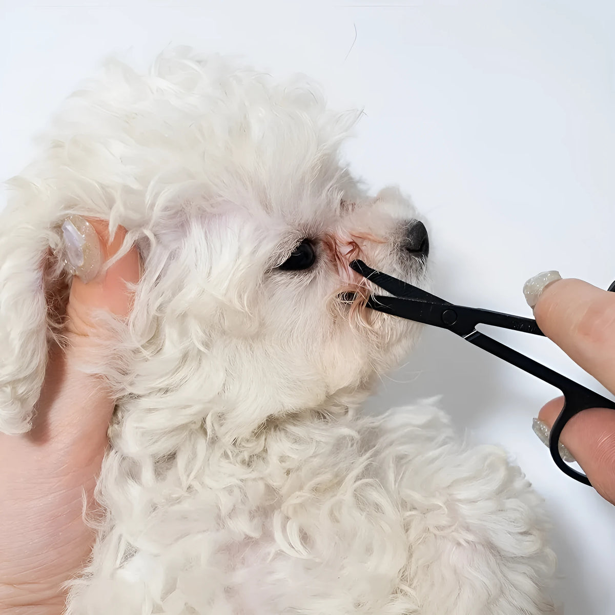 Black pet grooming brush with soft bristles for gentle eye area cleaning on dogs and cats