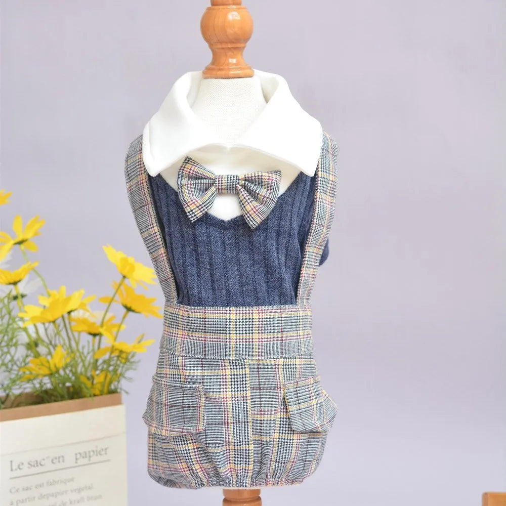 Small dog wearing dark blue cotton shirt with button front and collar
