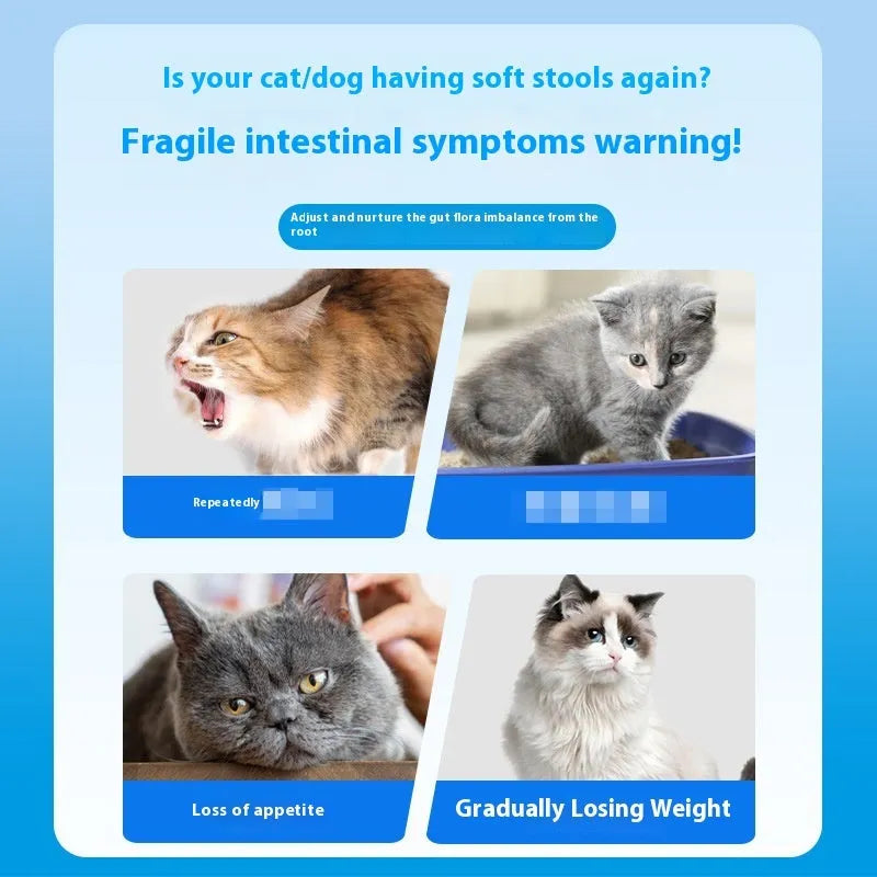 Bottle of 180 Active Probiotic Tablets for dog and cat digestive health
