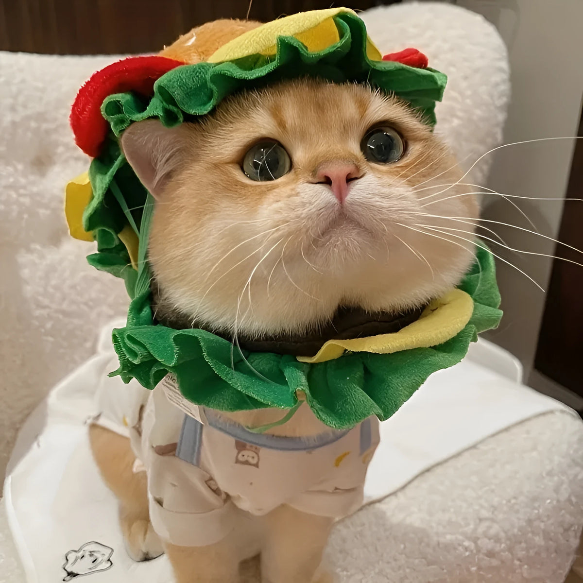 Brown burger hat costume with lettuce and cheese print on a cat, showing adjustable nylon collar.
