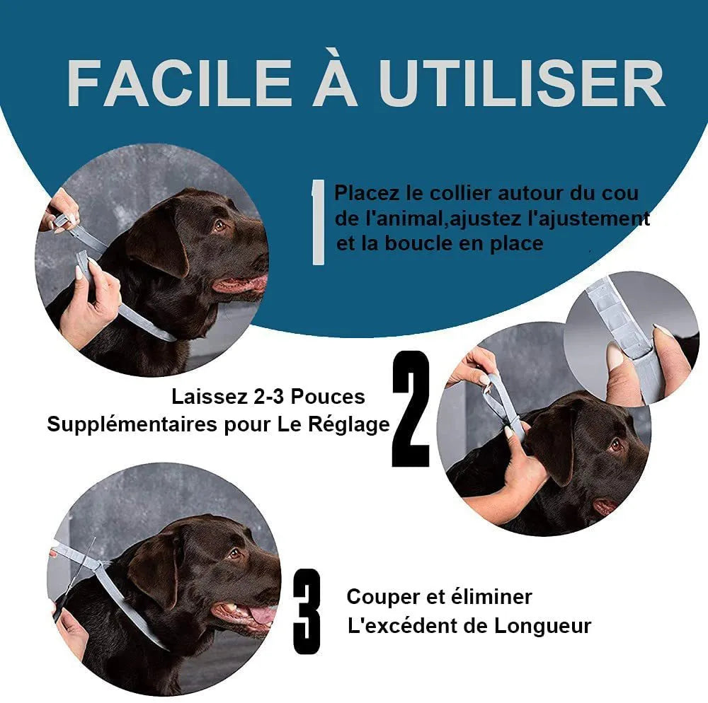 Plastic flea and anti-lice preventing ring collar in 38cm cat and 62cm dog sizes with rainbow packaging