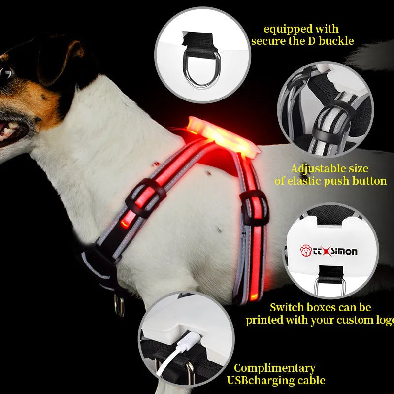 Nylon luminous dog lead with seven-colour LED lights and hand-holding rope design