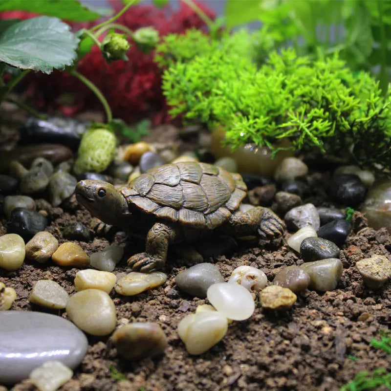 Resin simulated turtle ornament for micro landscape and gardening decoration