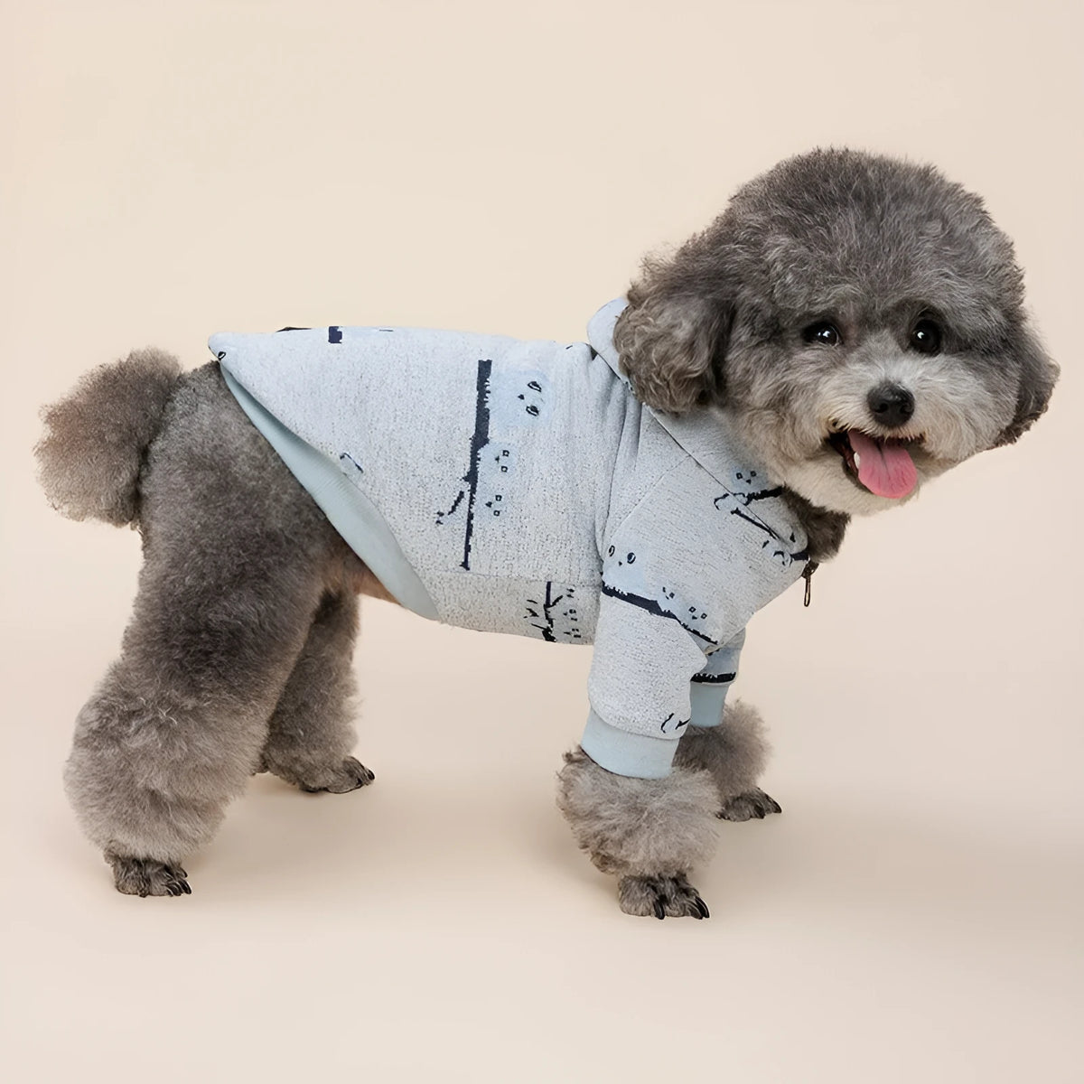 Blue dog sweater with front zipper closure on small dog model