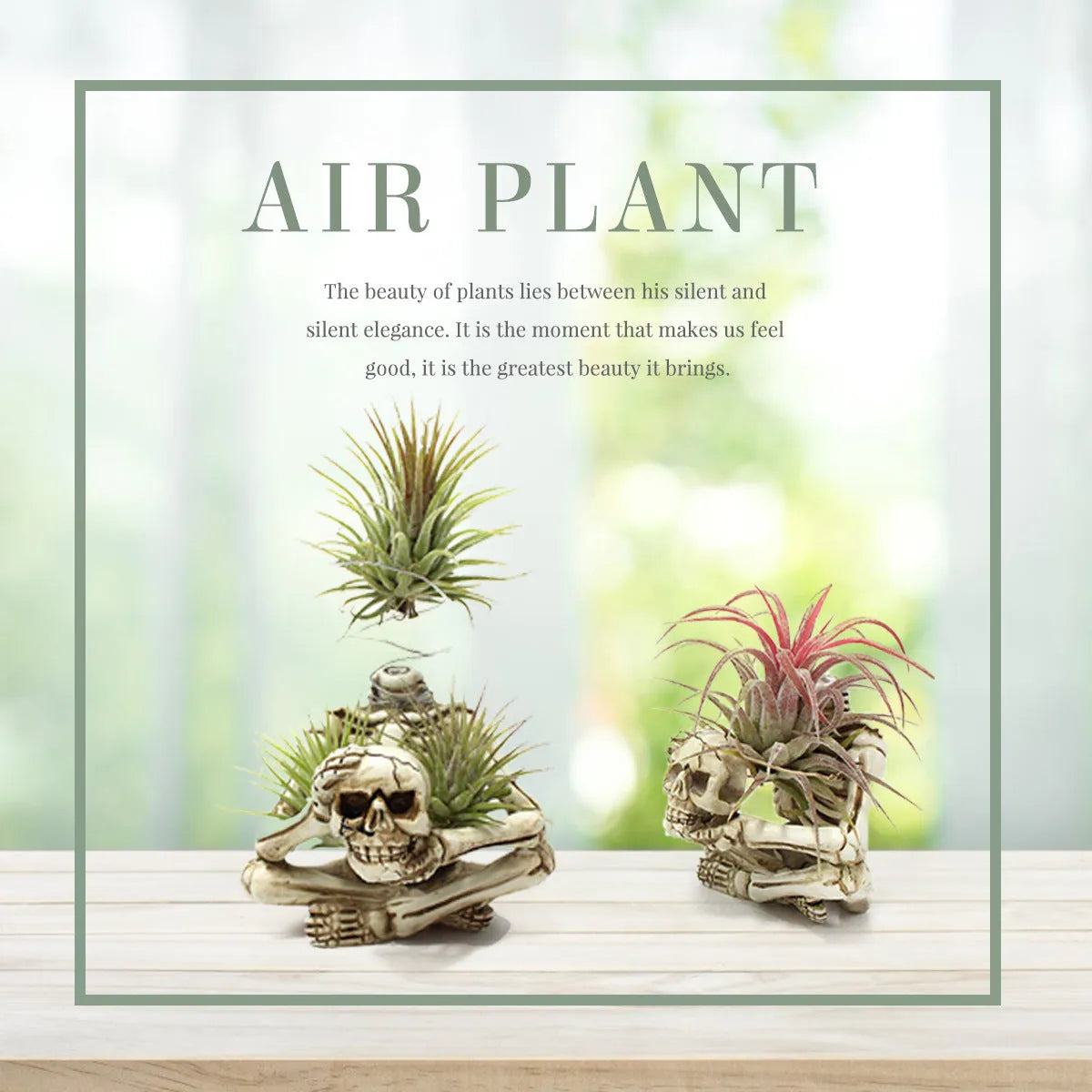 Gothic resin skull bracket holding a Tillandsia air plant, showing detailed skull ornament and layered construction.