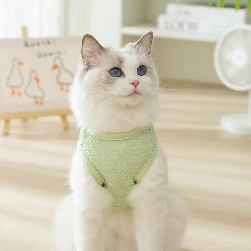 Cartoon bear patch cat clothes in knitted fabric with hollowed-out breathable design