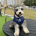 Blue and grey white pet hoodie with reflective lettering, slim-fitting design for cats and dogs