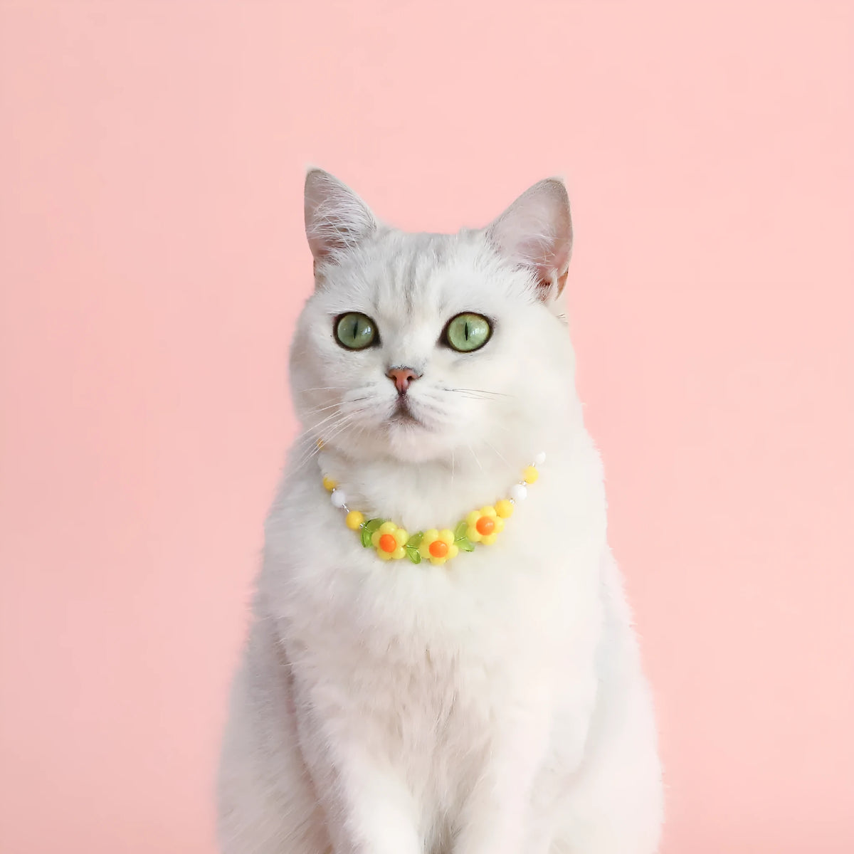 Colourful plastic bead cat necklace shown in peach, rainbow, or small flower pattern options with adjustable sizing