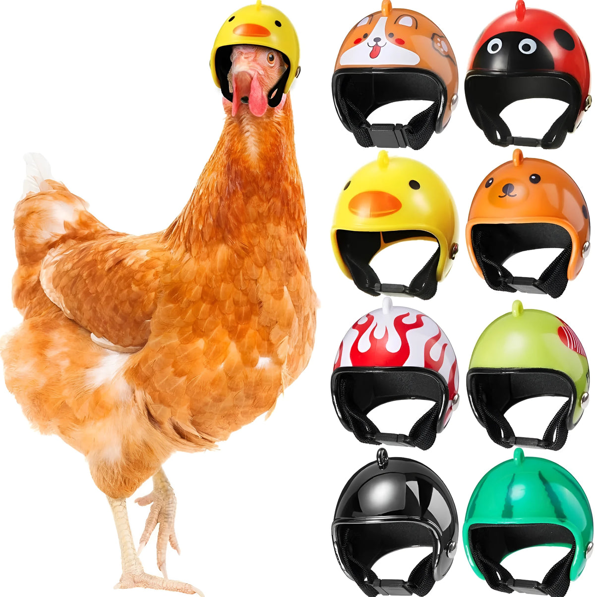 Adjustable hard plastic chicken helmet for small birds with elastic bands and sponge lining