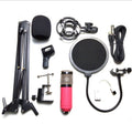 BM-800 condenser microphone stand set with electroplated mesh head in various colours.